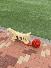 조금 이상한 후회물