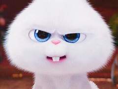 지존최강 가이드1