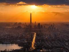 개와 늑대의 시간