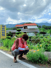 철인 씨의 순정