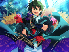 한스타 에르미타주 미카 풀돌후기♥