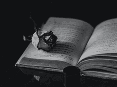 살인자가 아니다.