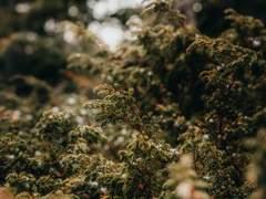 [ 네거X커 프로필 ]