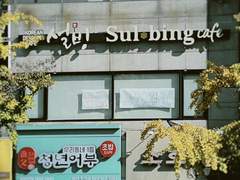 001 오픈을 기다려요