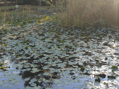 [슈아케] 나의 계절이 너의 이름을 가졌다