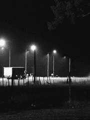 그 패거리가 사는 법