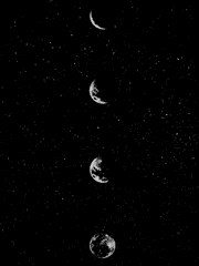 문나이트 관련 정보