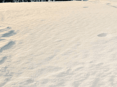 첫 눈이 사랑에 녹아내릴 때