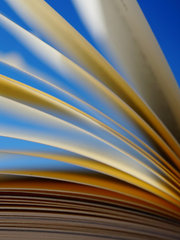 [팡푸] 로맨틱 션샤인