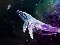 별똥별을 훔친 고래