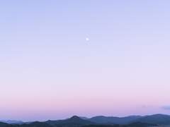 [레이카오] 백일몽