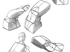 2022년 10월 15일 (토) <해부학>