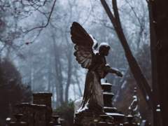 [휘틀에메] 재와 유령 1