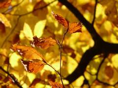 [킨키 KT] the line