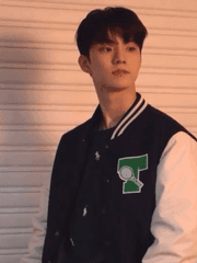 yellow chrysanthemum