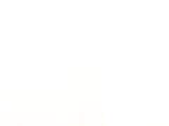 좋은 아침이야.