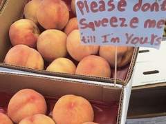 한입만 먹어보면 안 돼?