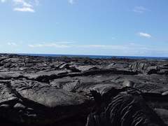 [시화노을ts] 계약 결혼