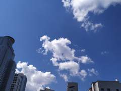 [시화노을] 편지