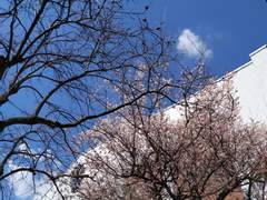 륜이 현대로 간 이야기