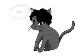 사쿠냥과 동거하기