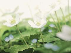 무리커-커플게임