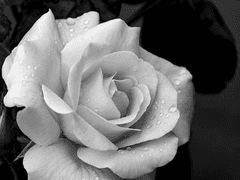 오예원 XX 19 대철고등학교