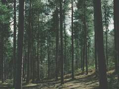 Yes I know 넌 beautiful monster 넌 날 아프게 하고 또 치료해*