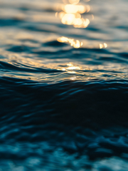 다시 너와 함께하는 꿈을 꾸며