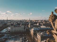 신혼여행 타로 백업