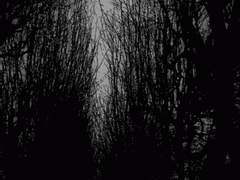 그는 나아간다.