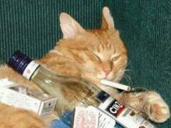 풍-산 블루스 후기