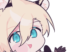 에이레이 투명포카