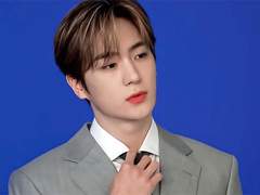 첫사랑의 유사어