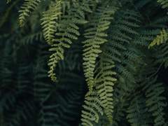 A와 B와 C와... Z에게