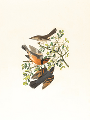 2022년 그림연습