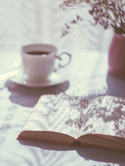 사니와의 다정한 선생님