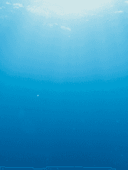 [겸원]Straight line