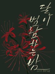 달이 범람하는 밤