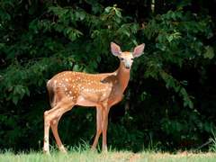 [해리스네]질투하는 해리 썰 2