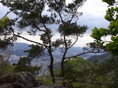 바람 따라 가련다