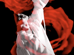 [MV] 불놀이 (두요 ver)