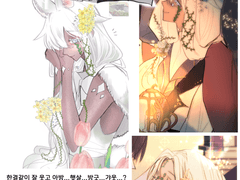 🌱🌲핀클라 👿⚜