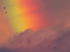 조, 좋은.. 오후네!