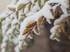 새로 주어질 것들