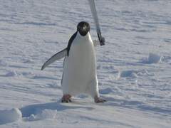 헤르리스 - 여름의 그 애