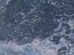 내 시체를 보지 마십시오.