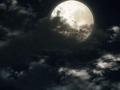 너의 찰나가 내겐 영원과 같은 시간이라는 것을.