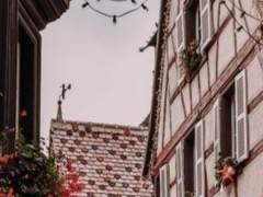 피아 매피/불명/여성