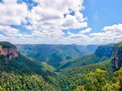 시드니의 블루 마운틴